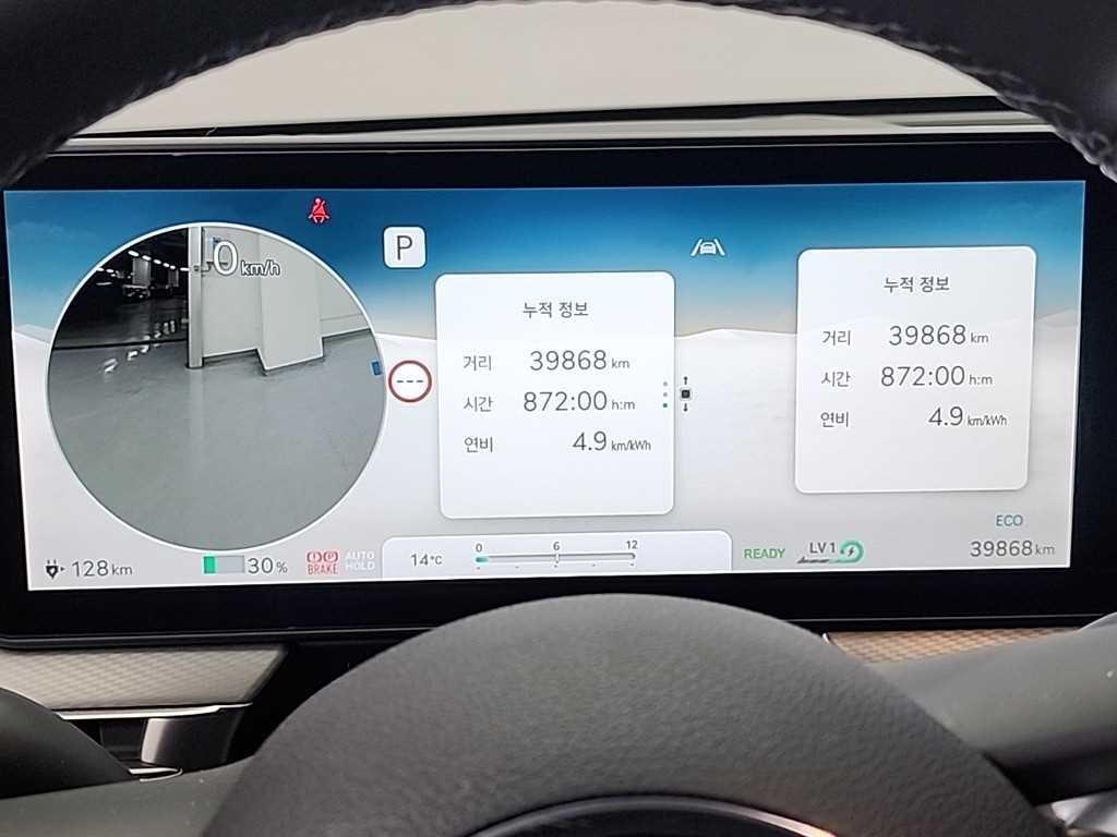 Genesis GV60 - Vista 9