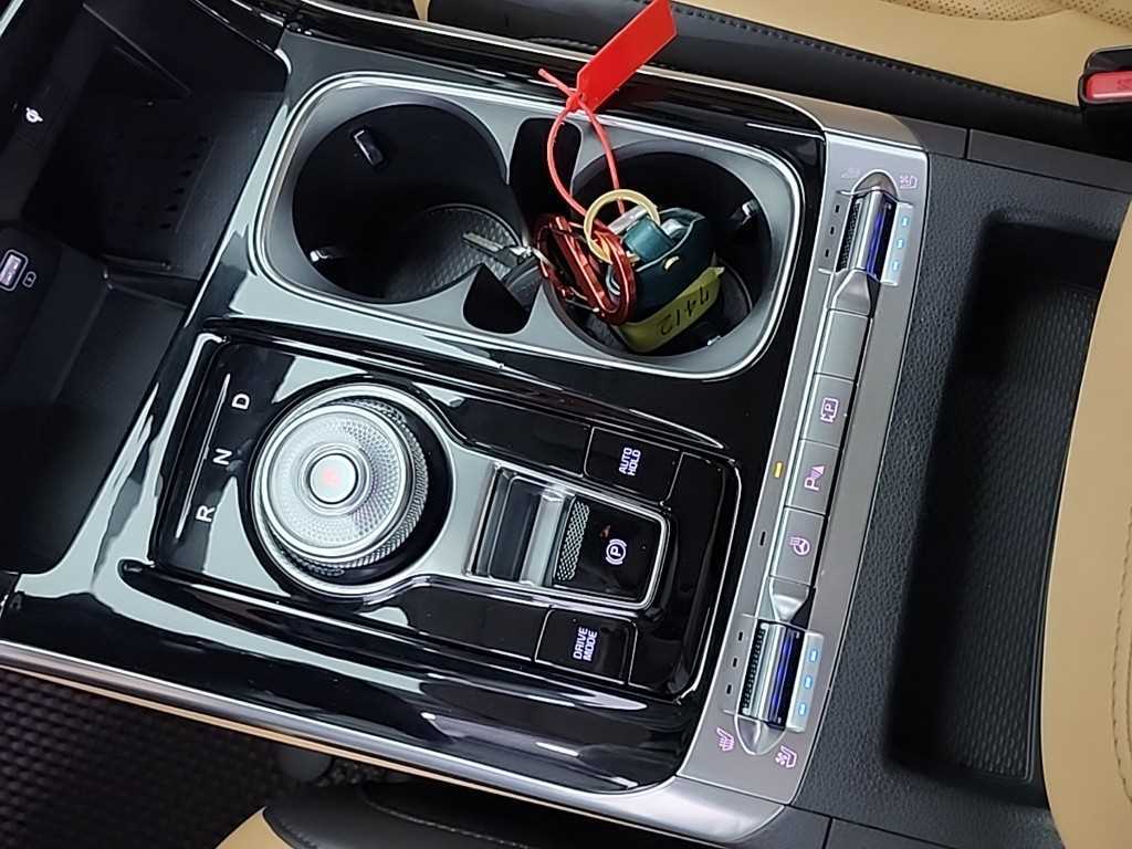 KIA Carnival - Vista 8