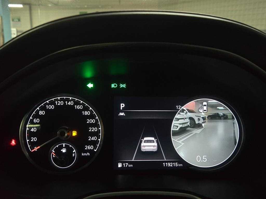 Genesis G80 - Vista 9