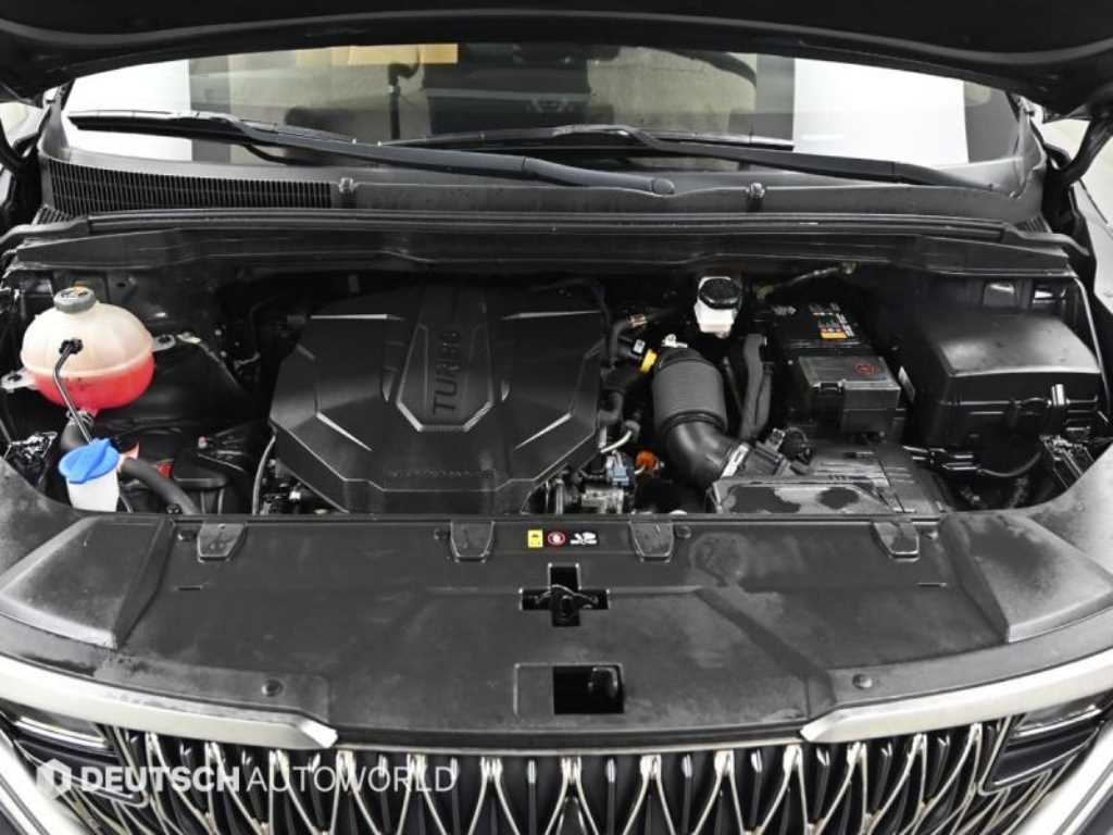 KIA Carnival - Vista 6