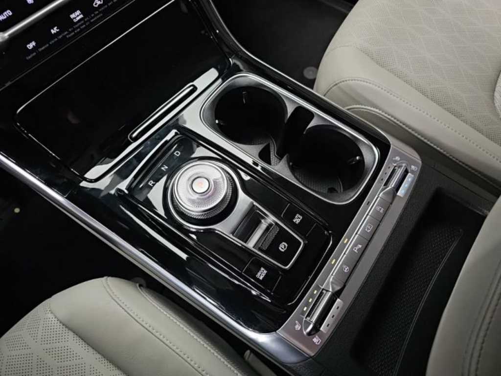 KIA Carnival - Vista 12