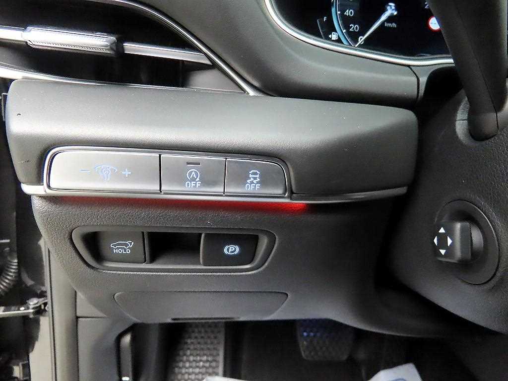 Genesis GV80 - Vista 12