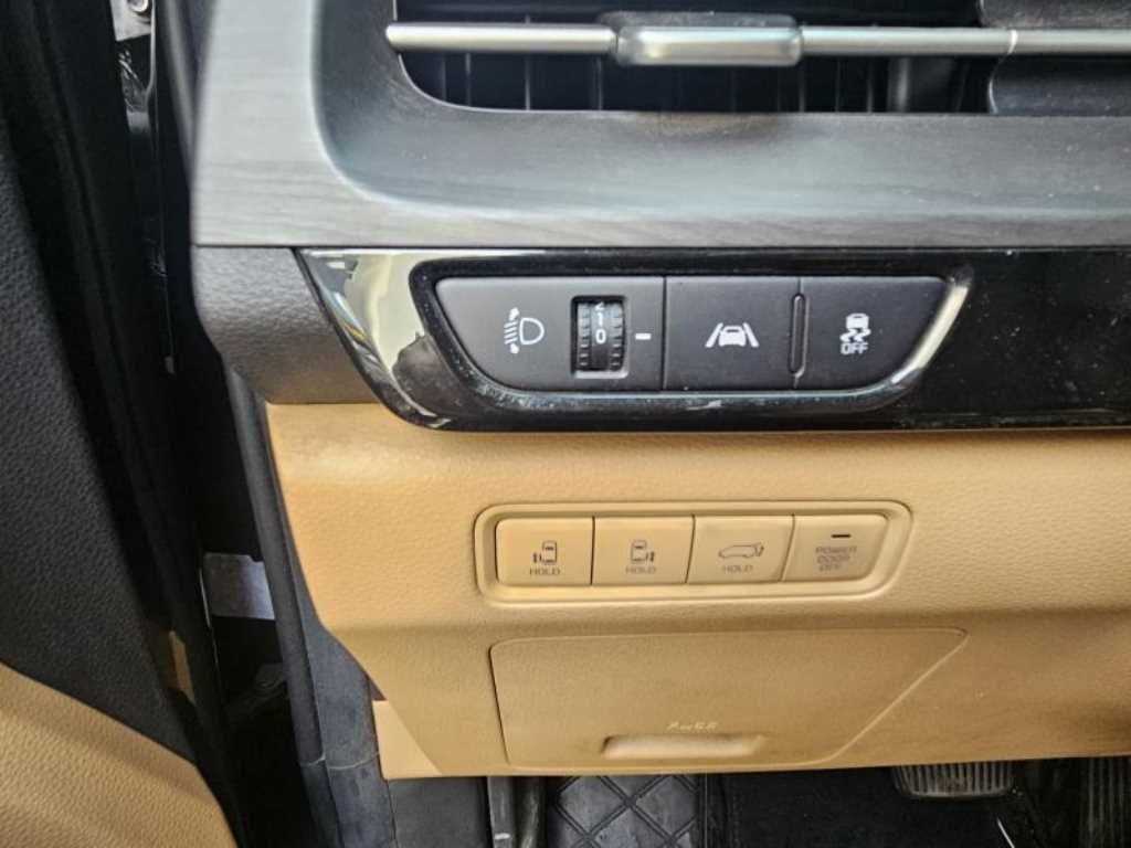 KIA Carnival - Vista 8