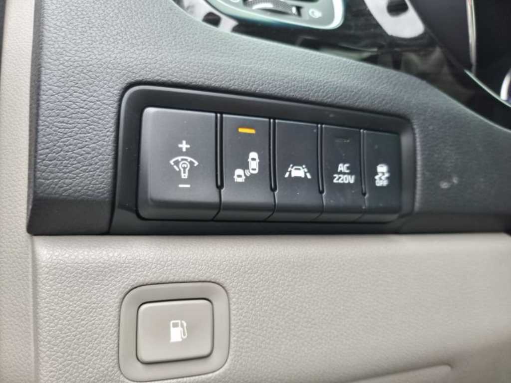 KIA Carnival - Vista 12