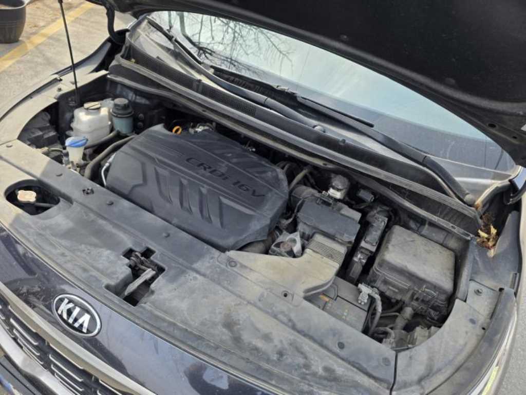 KIA Carnival - Vista 5