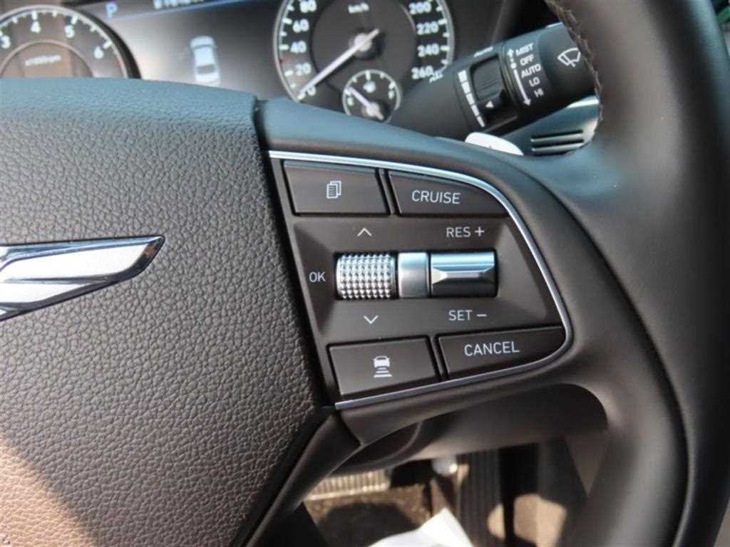 Genesis G90 - Vista 11