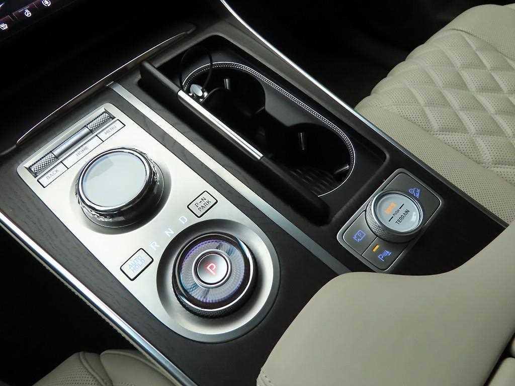 Genesis GV80 - Vista 10