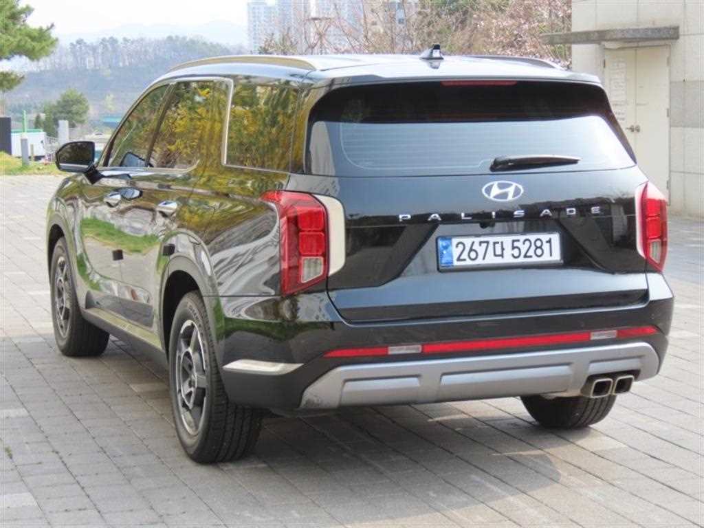 HYUNDAI Palisade - Vista 4