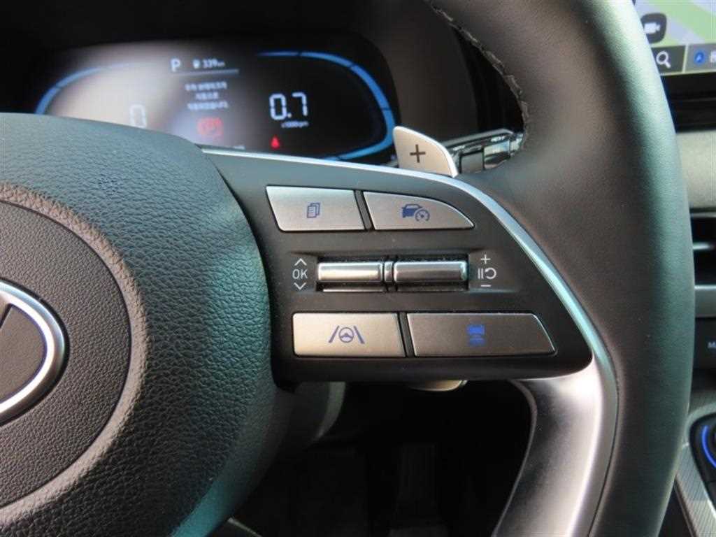 HYUNDAI Palisade - Vista 10