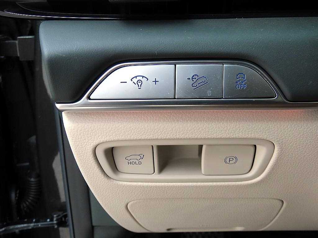 Genesis GV80 - Vista 12