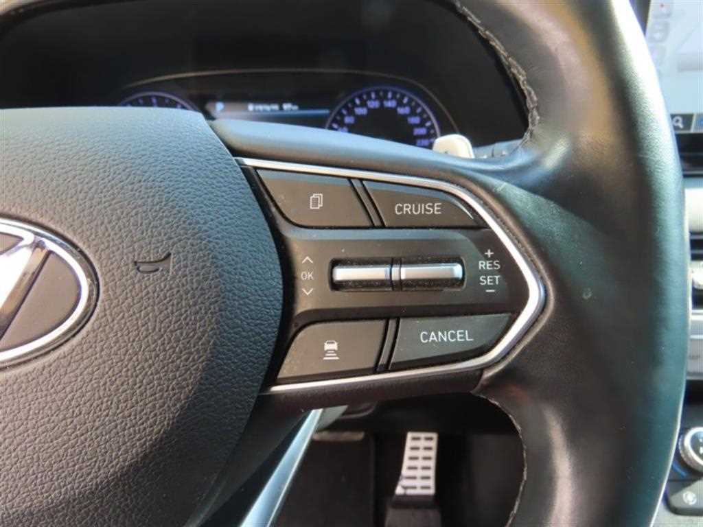 HYUNDAI Palisade - Vista 10