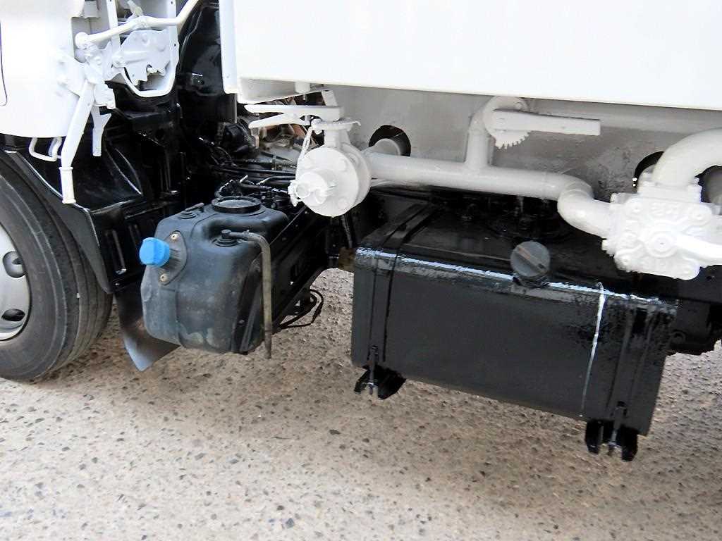 medium and large cargo Rory - Vista 6