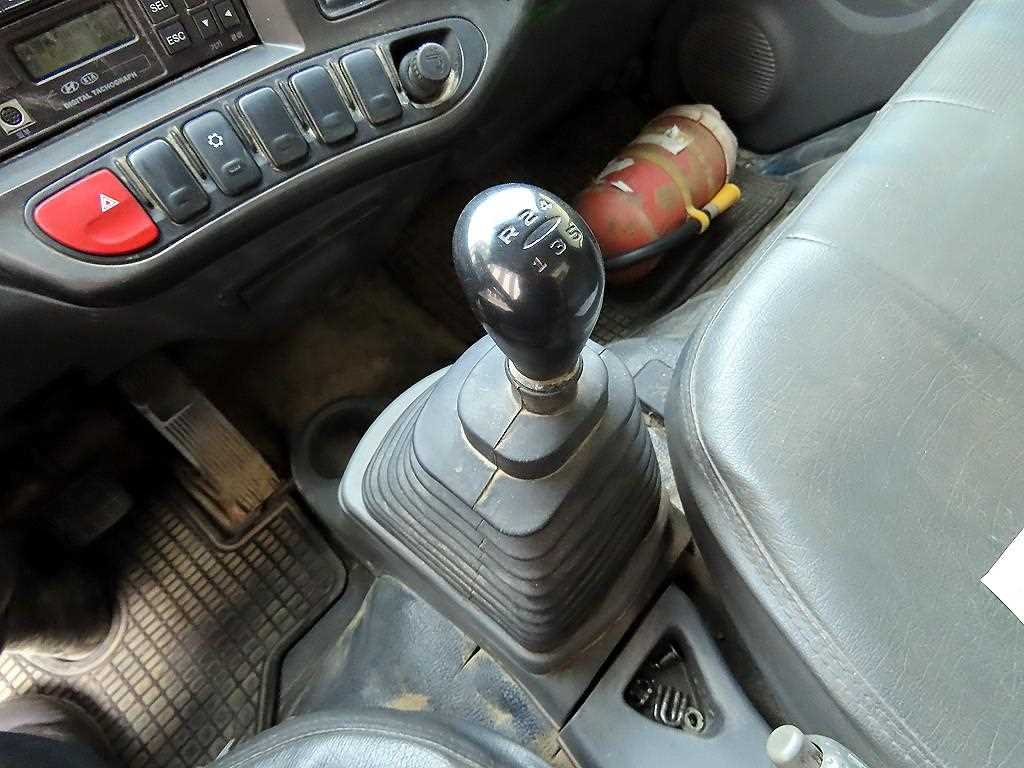 medium and large cargo Rory - Vista 11