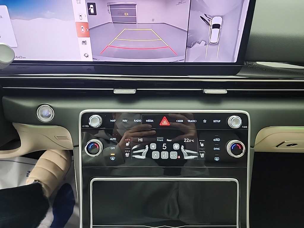 Genesis GV80 - Vista 10