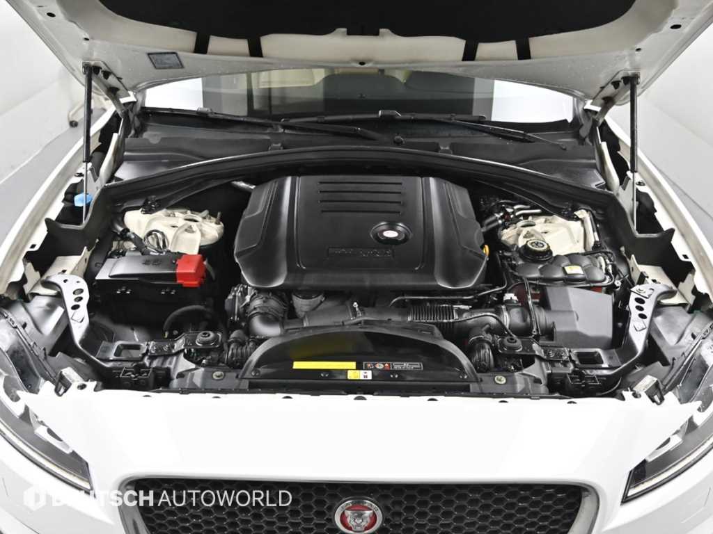 Jaguar F-PACE - Vista 6