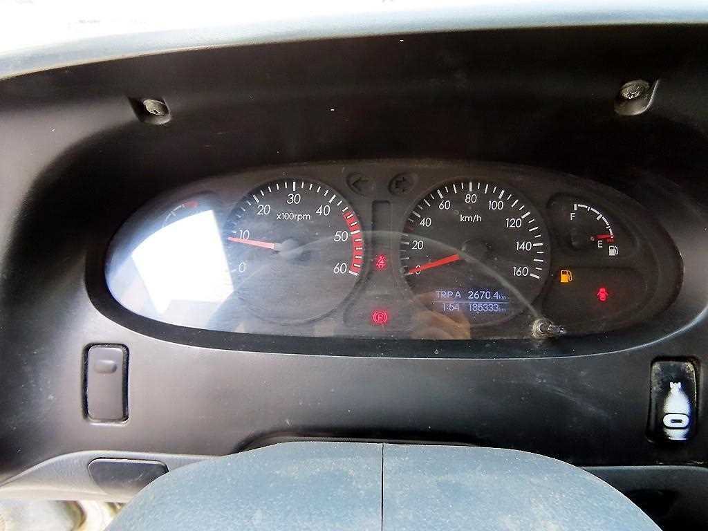 medium and large cargo Rory - Vista 10