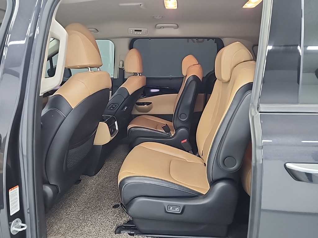 KIA Carnival - Vista 12