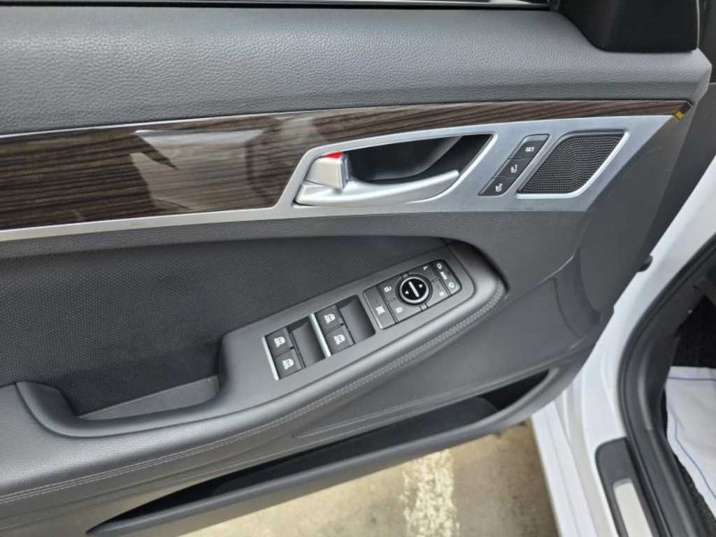 Genesis G80 - Vista 10