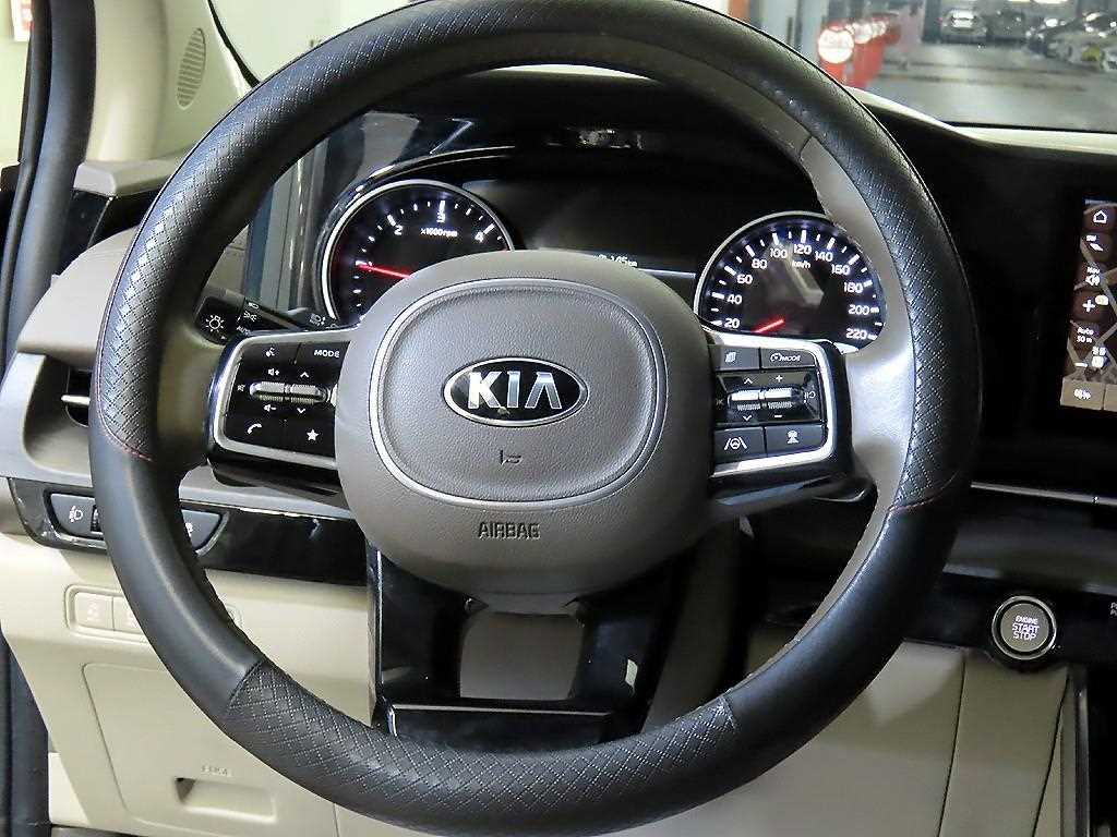 KIA Carnival - Vista 8