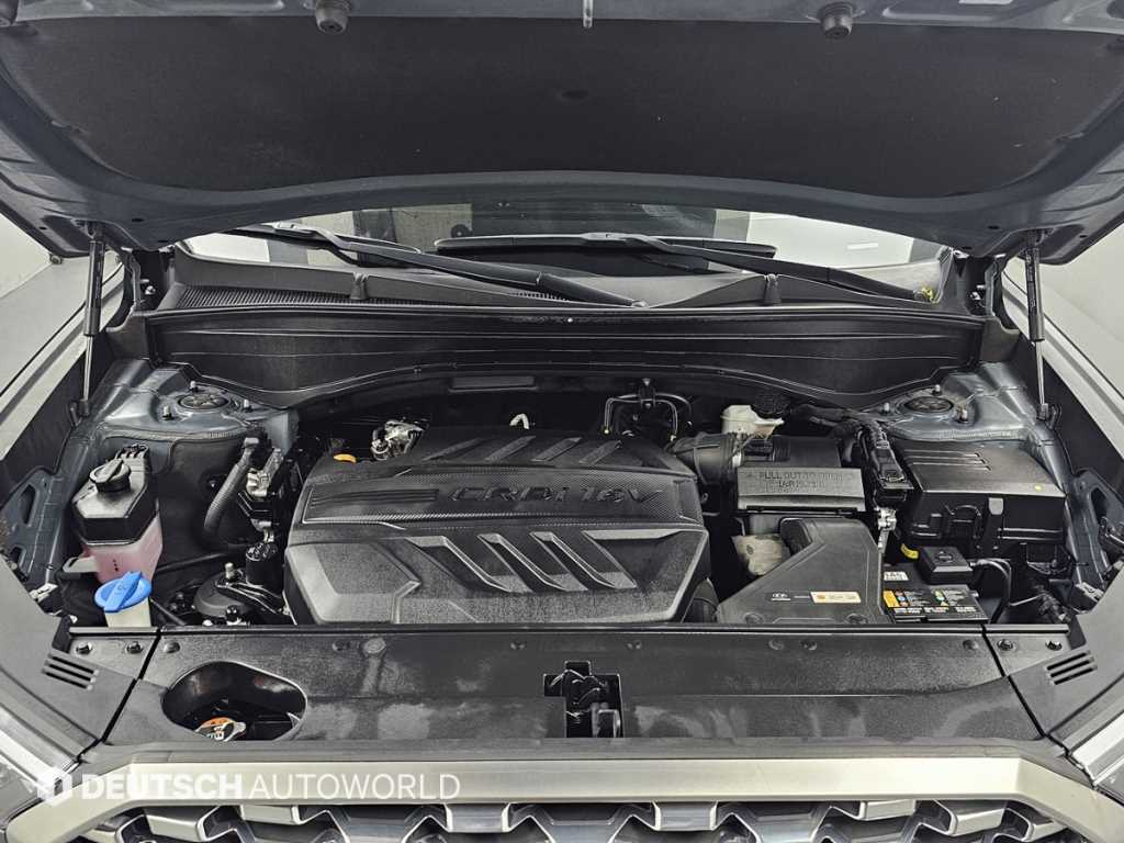 HYUNDAI Palisade - Vista 6