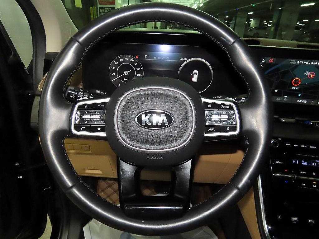 KIA Carnival - Vista 8