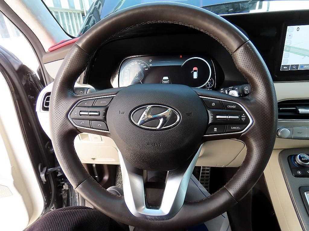 HYUNDAI Palisade - Vista 8