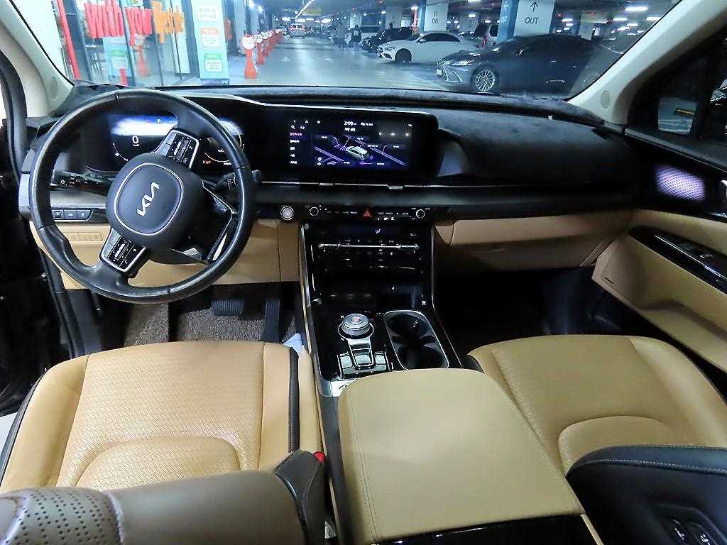 KIA Carnival - Vista 10