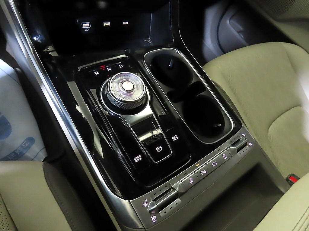 KIA Carnival - Vista 12