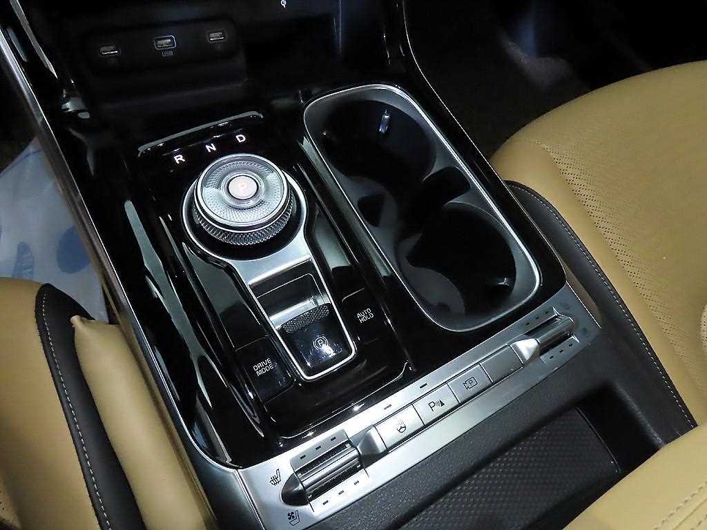 KIA Carnival - Vista 12