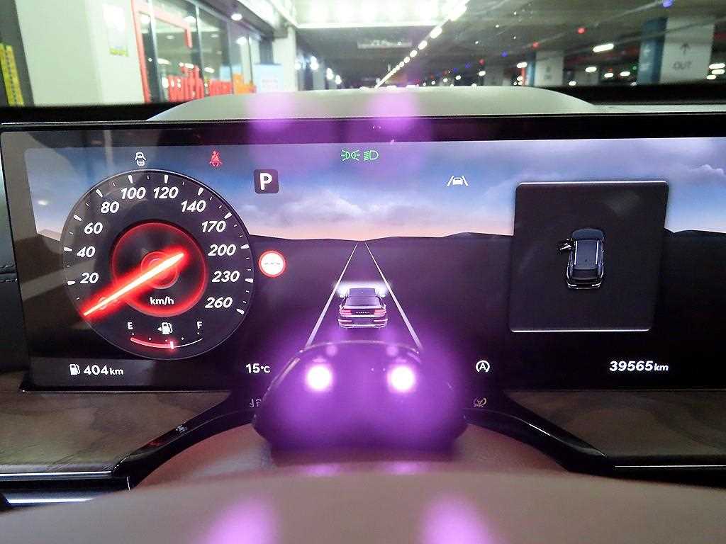 Genesis GV80 - Vista 9