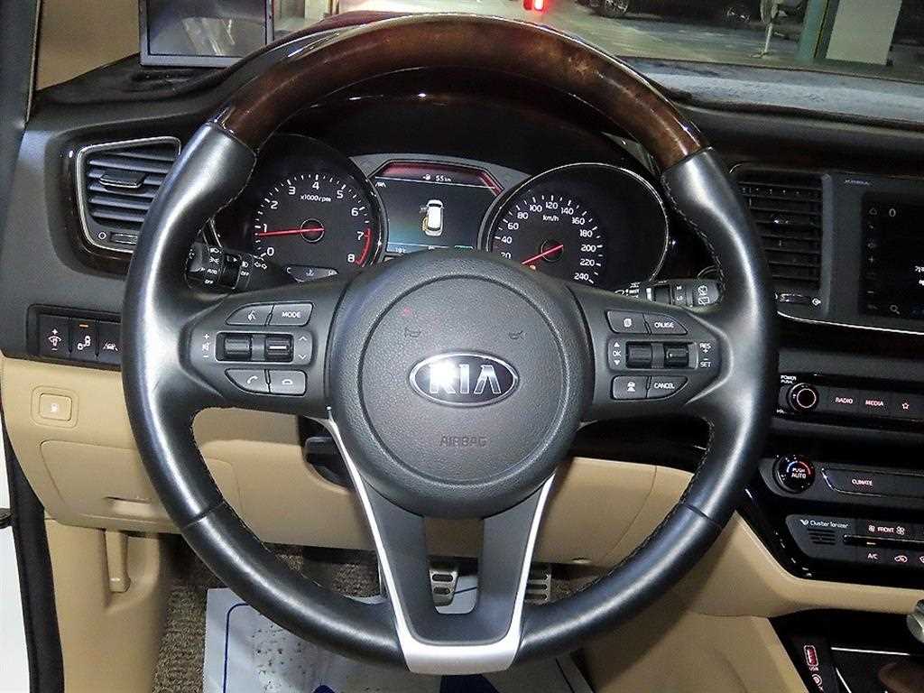 KIA Carnival - Vista 8