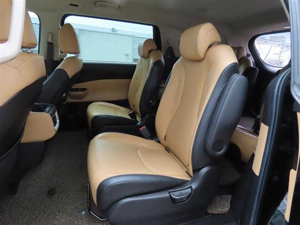 KIA Carnival - Vista 8