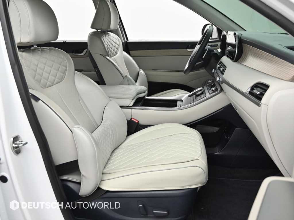 HYUNDAI Palisade - Vista 10