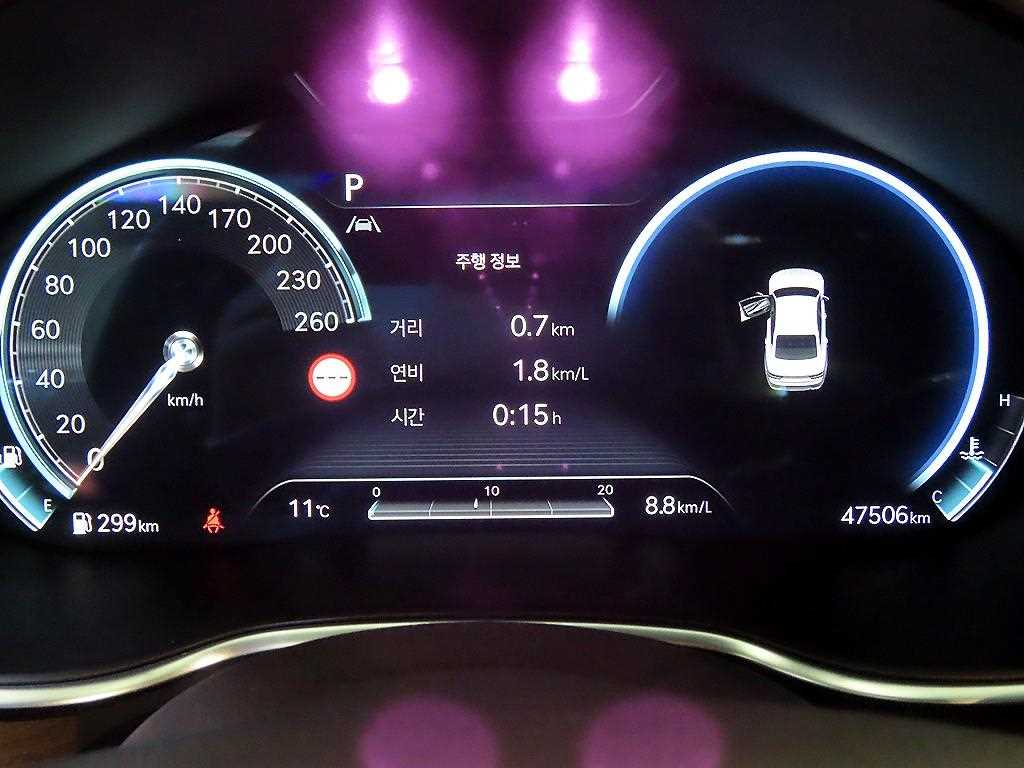 Genesis G80 - Vista 9