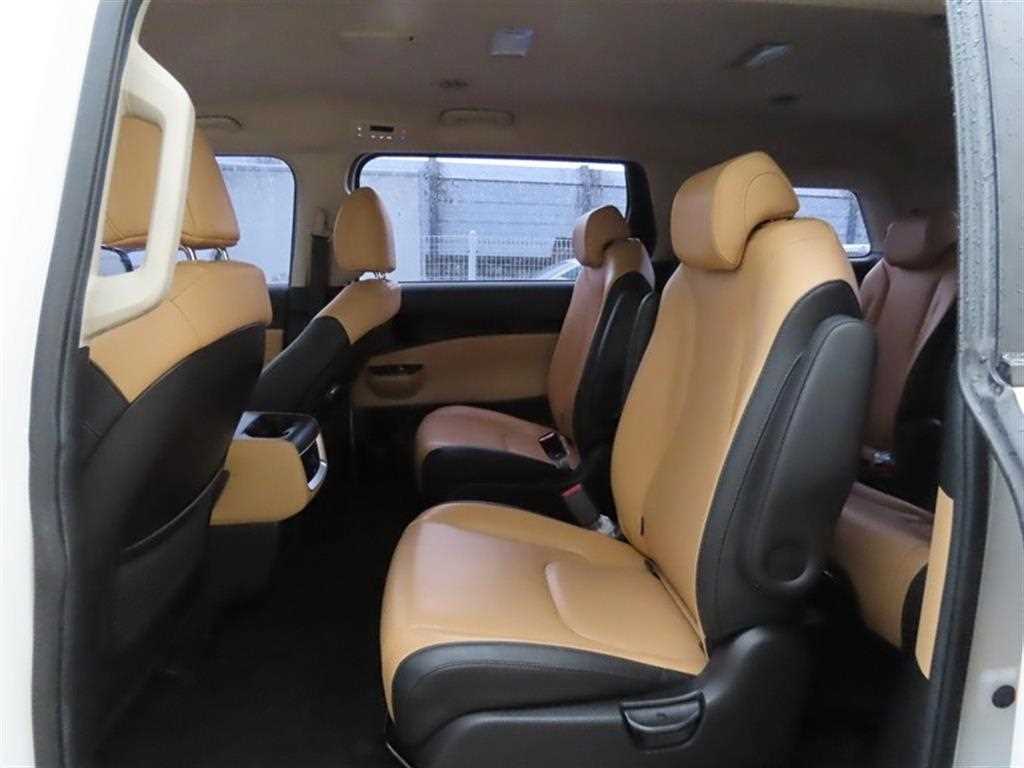 KIA Carnival - Vista 8