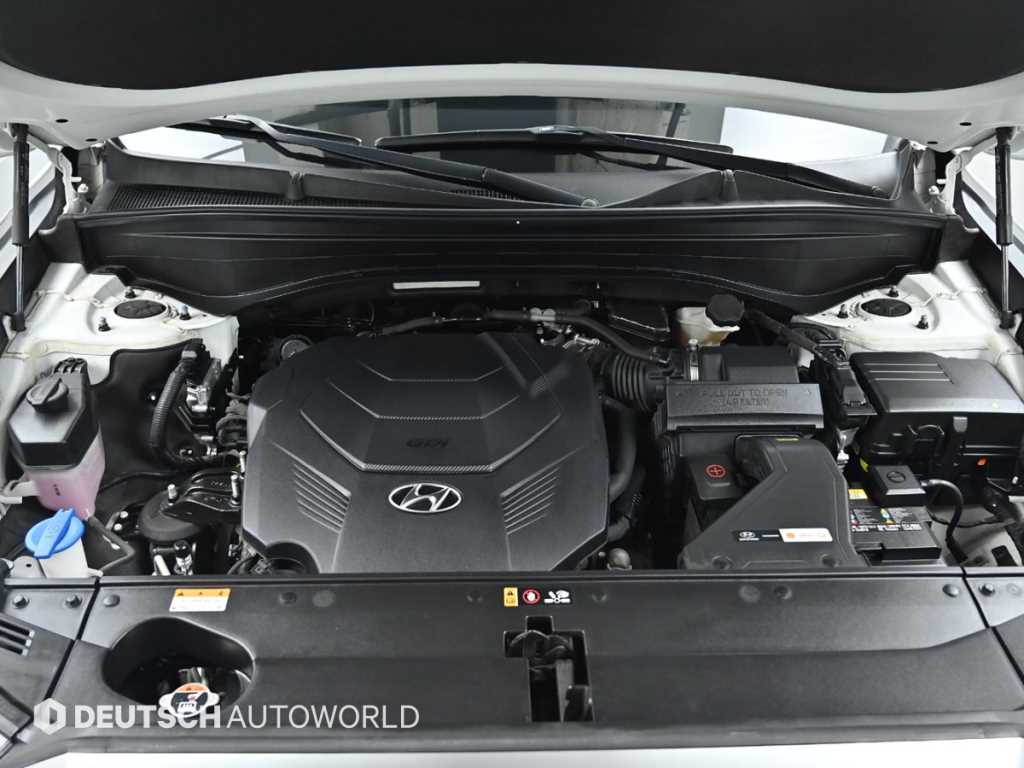 HYUNDAI Palisade - Vista 6