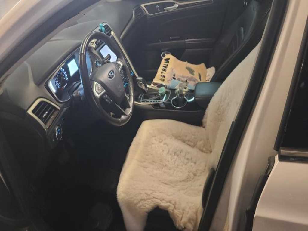 Ford Fusion - Vista 7