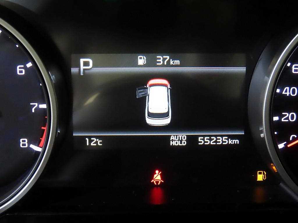 KIA Carnival - Vista 9