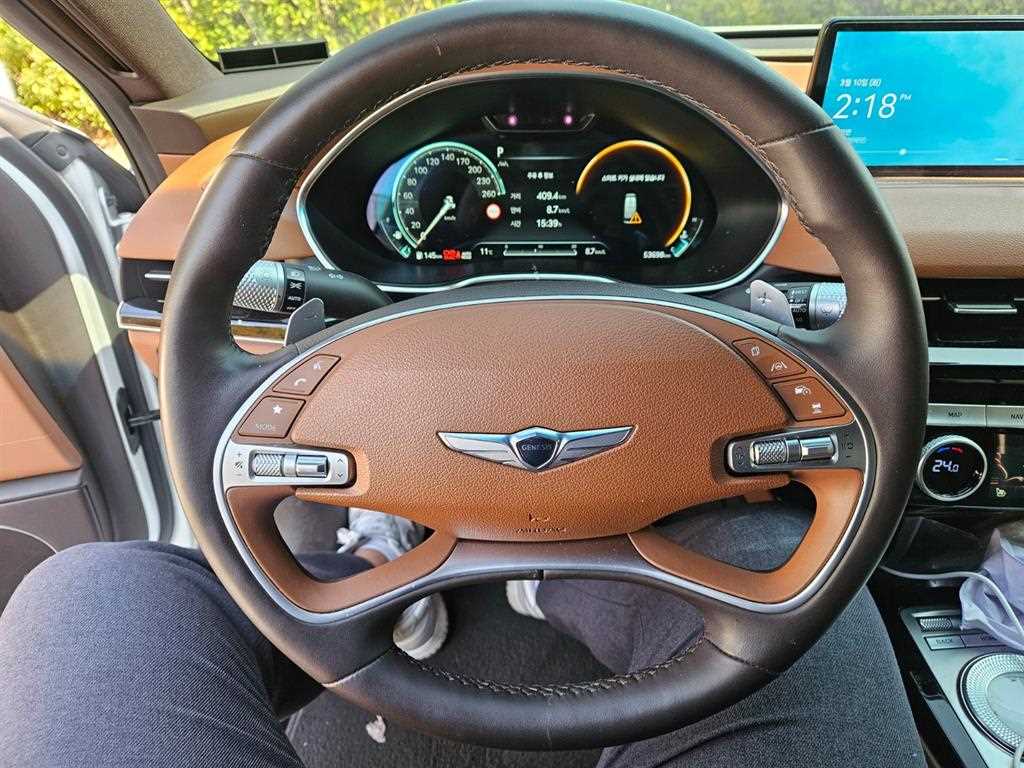 Genesis G80 - Vista 12