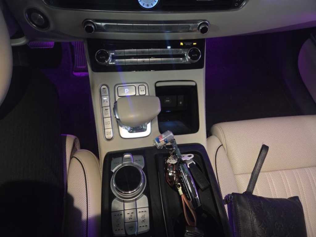 Genesis G90 - Vista 9