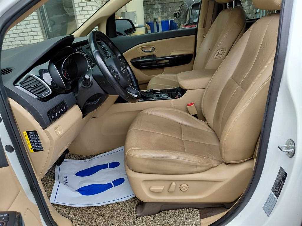 KIA Carnival - Vista 8