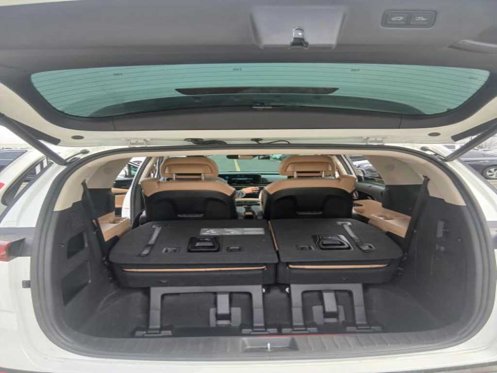 KIA Carnival - Vista 12