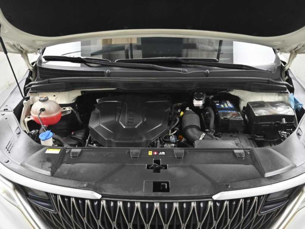 KIA Carnival - Vista 6