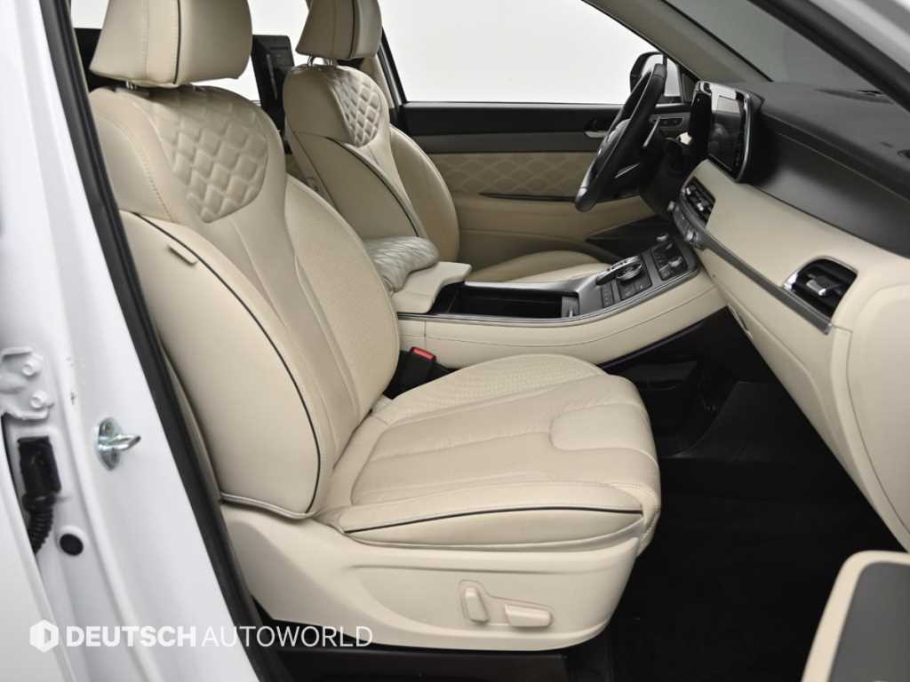 HYUNDAI Palisade - Vista 10