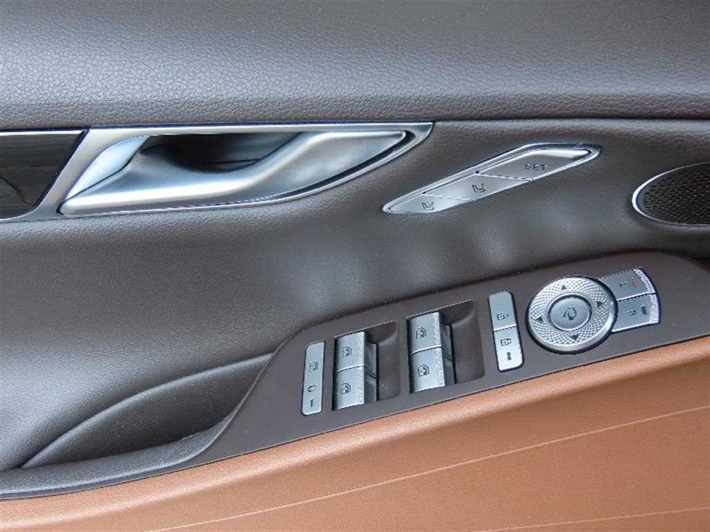 Genesis G80 - Vista 12