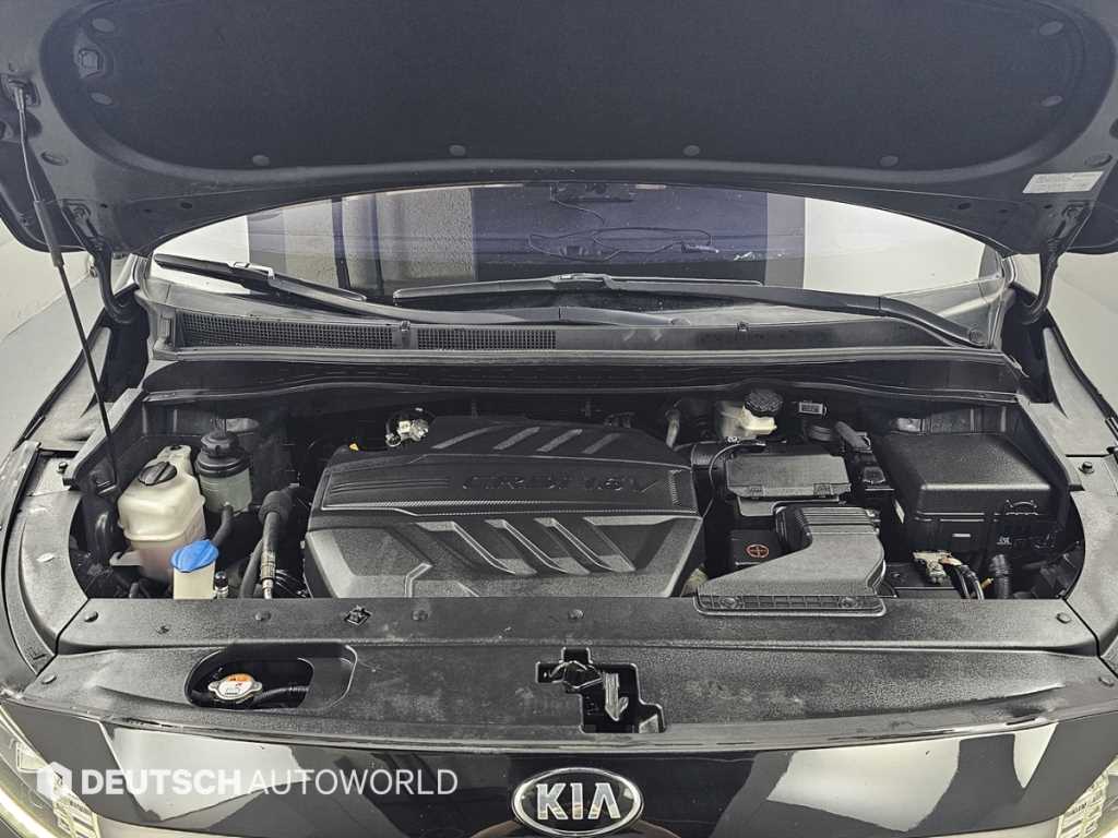 KIA Carnival - Vista 6