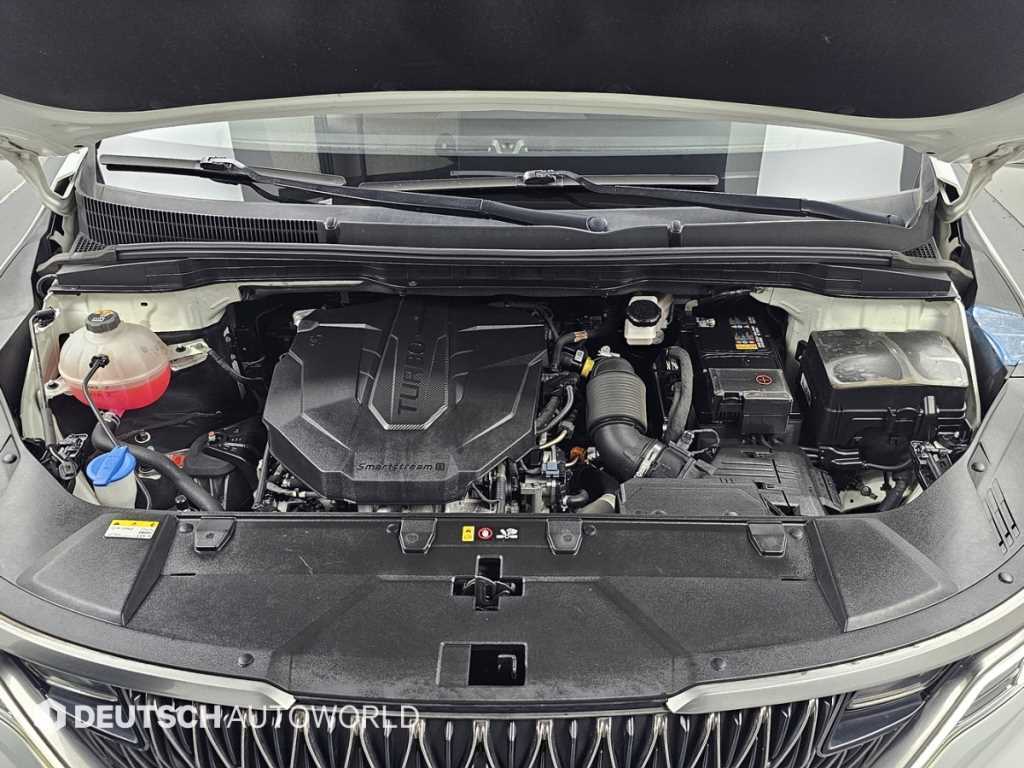 KIA Carnival - Vista 6