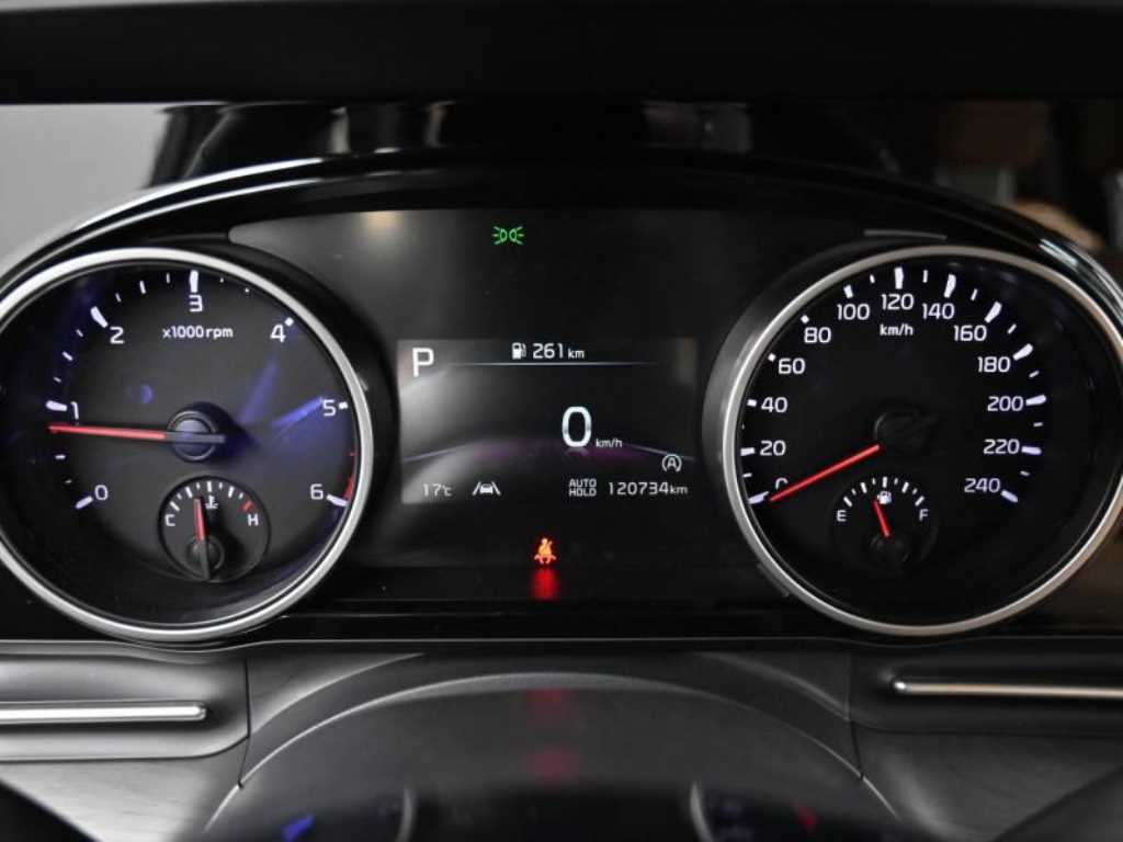 KIA Carnival - Vista 8
