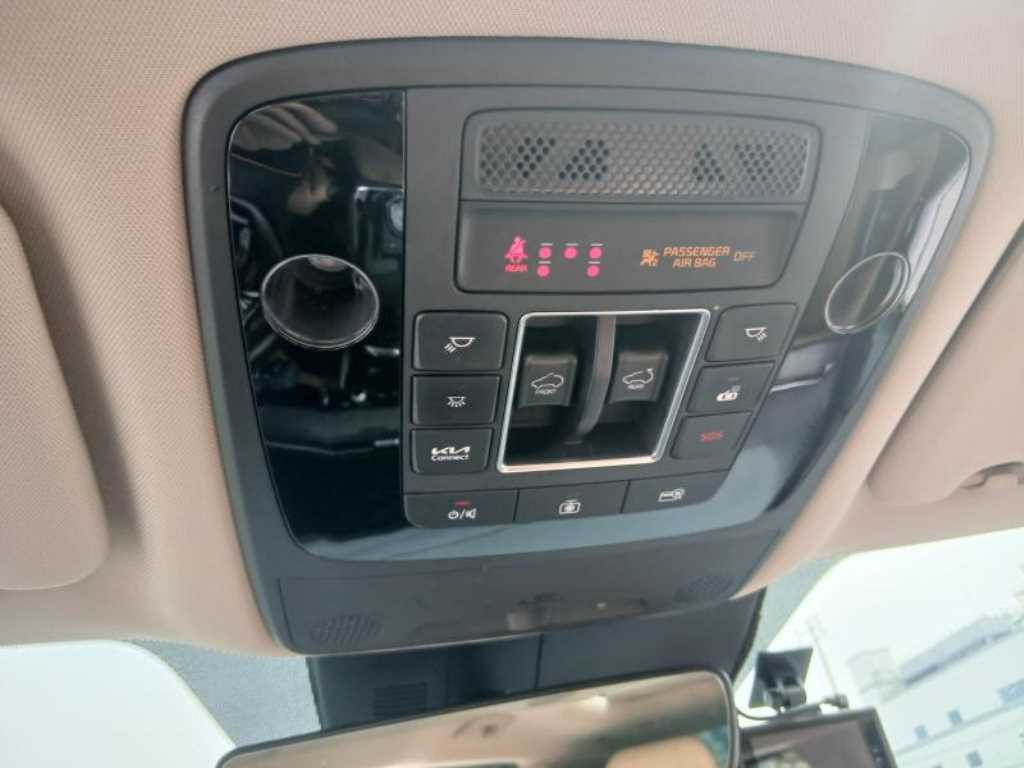 KIA Carnival - Vista 8