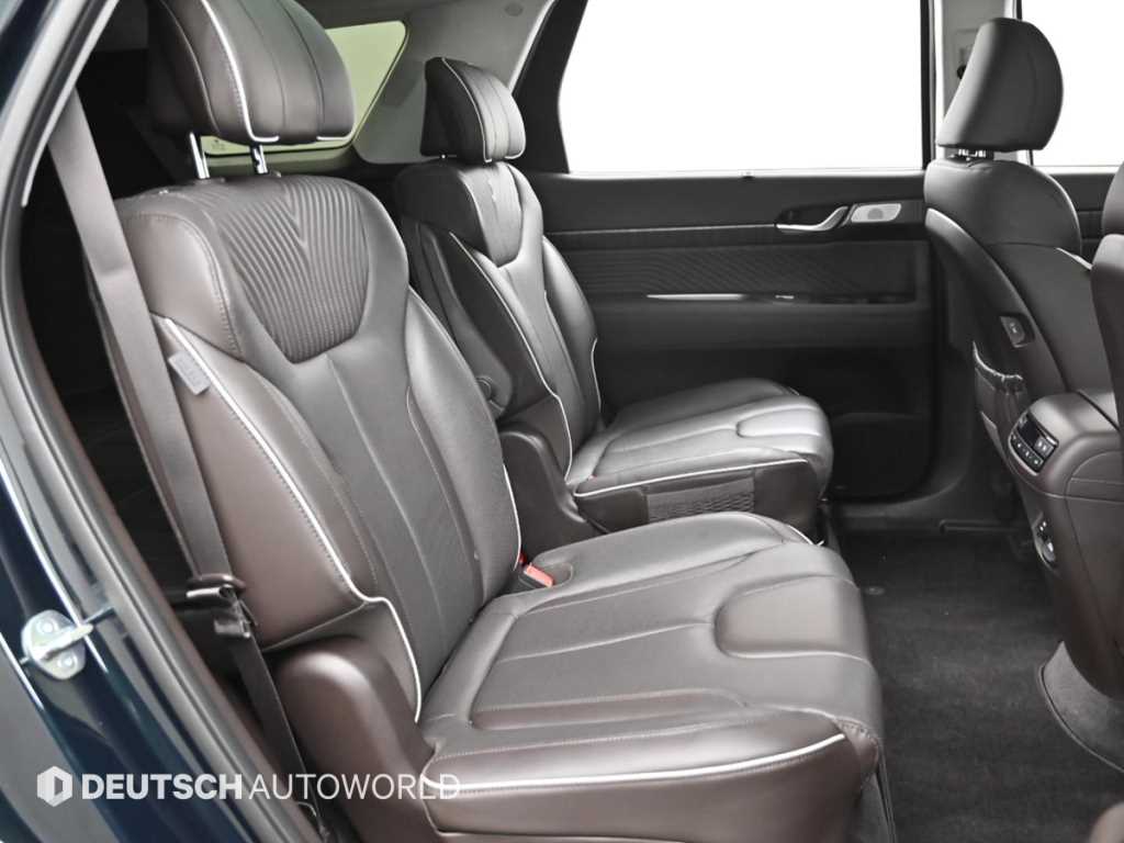 HYUNDAI Palisade - Vista 12
